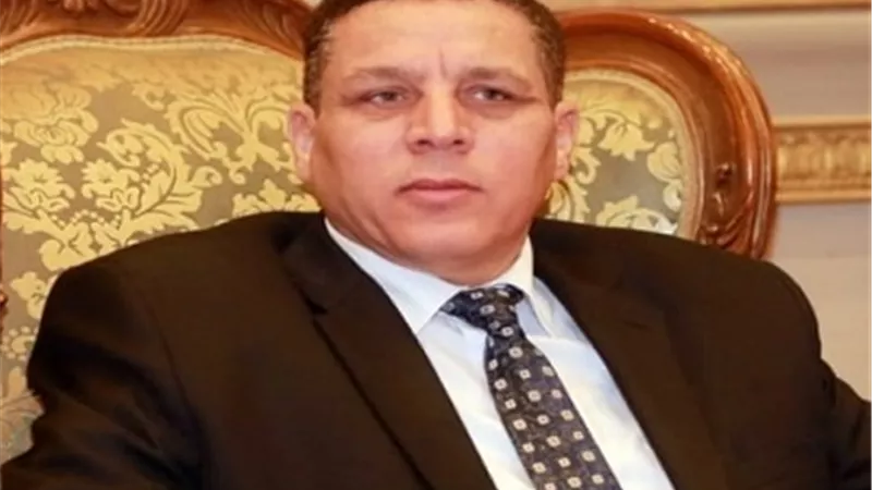 نائب: طفرة غير مسبوقة في الحاصلات الزراعية وميكنة وتسهيل الخدمات المقدمة للفلاح