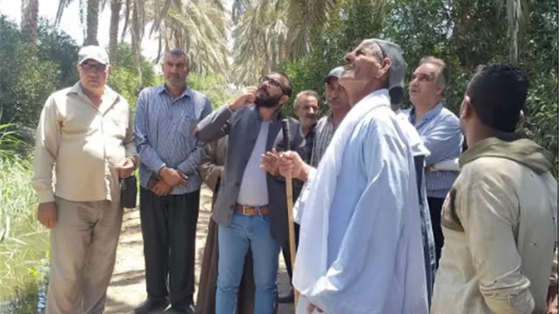 الزراعة تنظم مدرسة حقلية للنخيل في محافظة المنيا