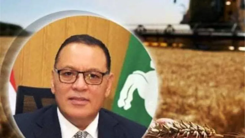 الحصاد الإسبوعى للمحصول الإستراتيجى الأول للشرقية..تعرف عليه