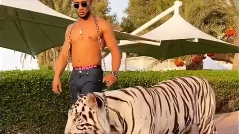 محمد رمضان يتجول فى دبى برفقة 