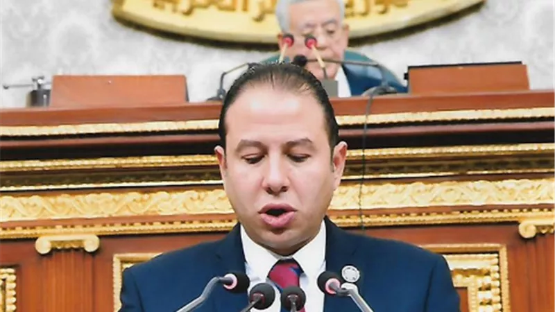 النائب حسن عمار يطالب بالترويج الدولي للكتالوج الإلكتروني للمنتجات المصرية