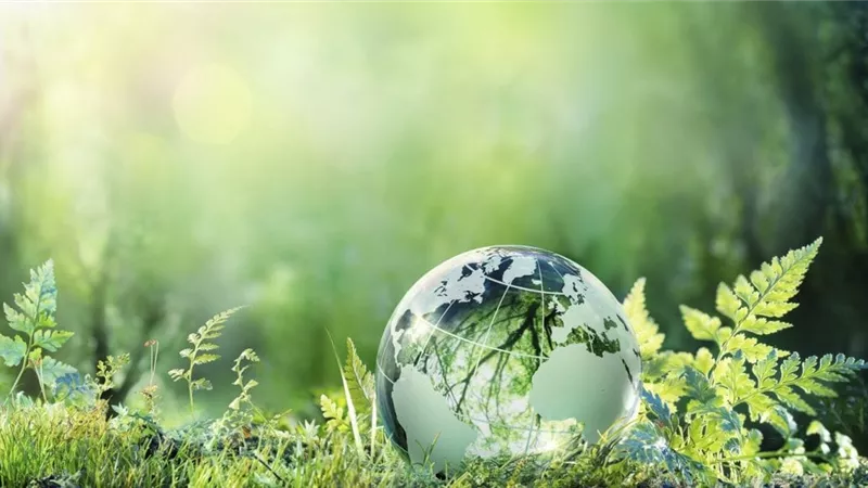 2.8 مليار جنيه حجم الإنفاق على حماية البيئة عام 2021/2022