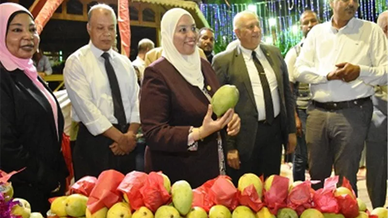 اهتمام كبير بمهرجان المانجو في أسوان