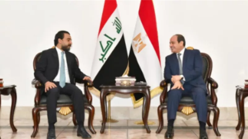 الرئيس السيسي يلتقي رئيس 