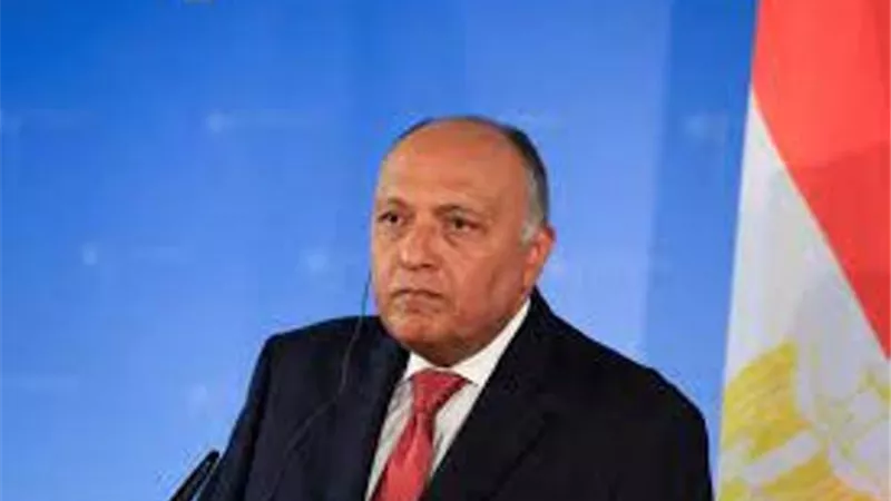 وزير الخارجية يتوجه إلى روما للمشاركة فى الاجتماع الوزارى للتحالف الدولى ضد داعش