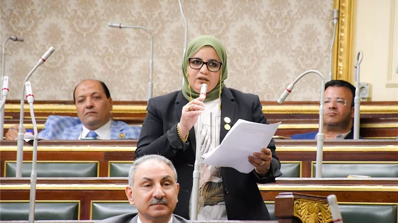 عفاف زهران ترفض قرض التأمين الصحي الشامل وتعلن دعهما للبرنامج