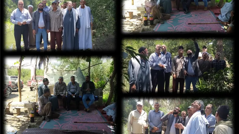 الزراعة تنتهي من تنفيذ 4 مدارس حقلية إرشادية للنخليل في محافظة المنيا