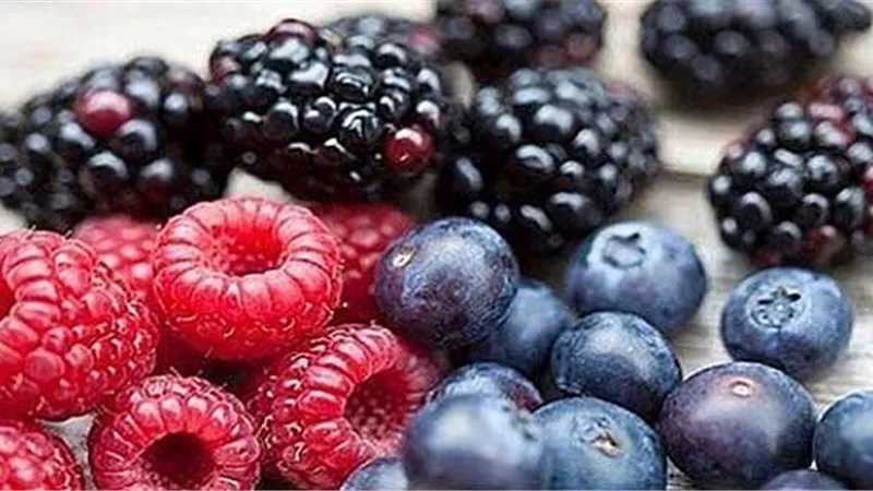 بالفيديو.. خبيرة تجميل: التوت البري يوحد لون البشرة ويقلل الالتهابات