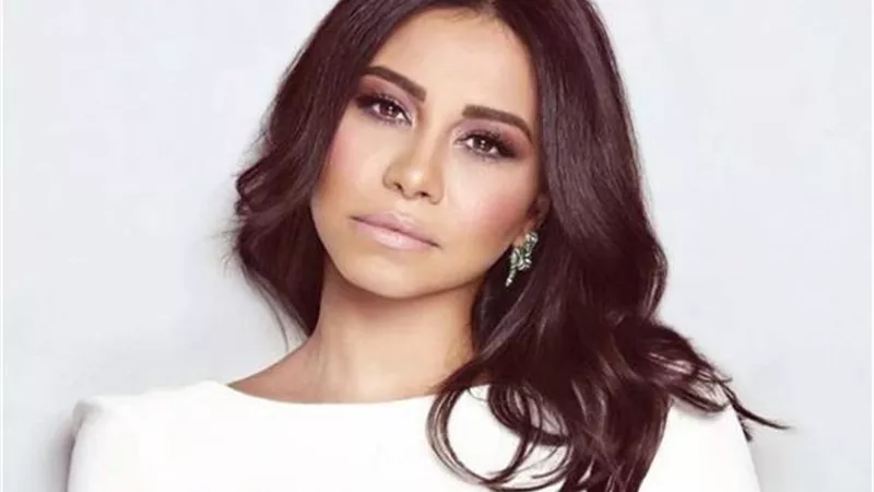 شاعر غنائي يشن هجوماً على شيرين عبدالوهاب 