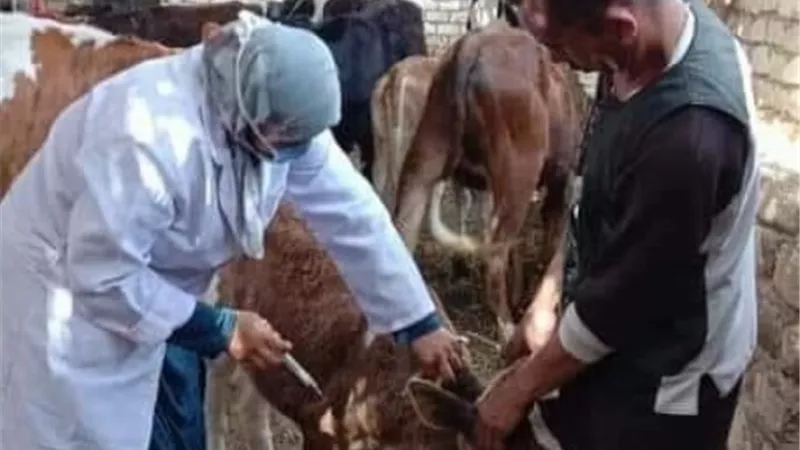محافظ الاسماعيلية يعلن انطلاق فعاليات الحملة القومية الثانية للتحصين ضد الحمى القلاعية