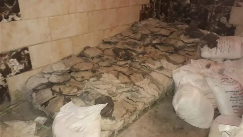 ضربه جديدة من محافظة الجيزة للمتلاعبين بصحة المواطنين