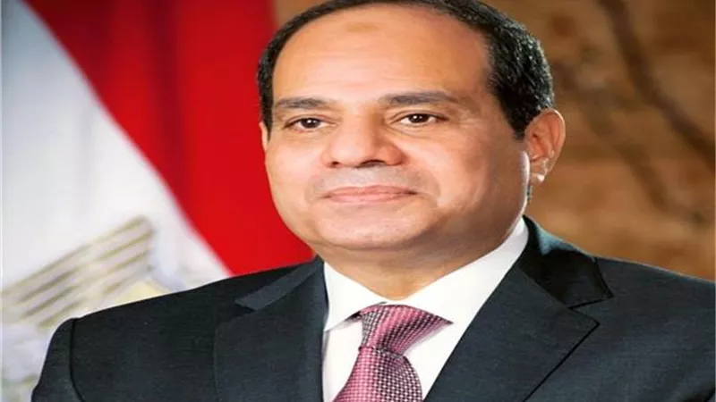 الرئيس السيسي يوجه بالتركيز على إقامة المجمعات الصناعية في إطار مشروع الدلتا الجديدة