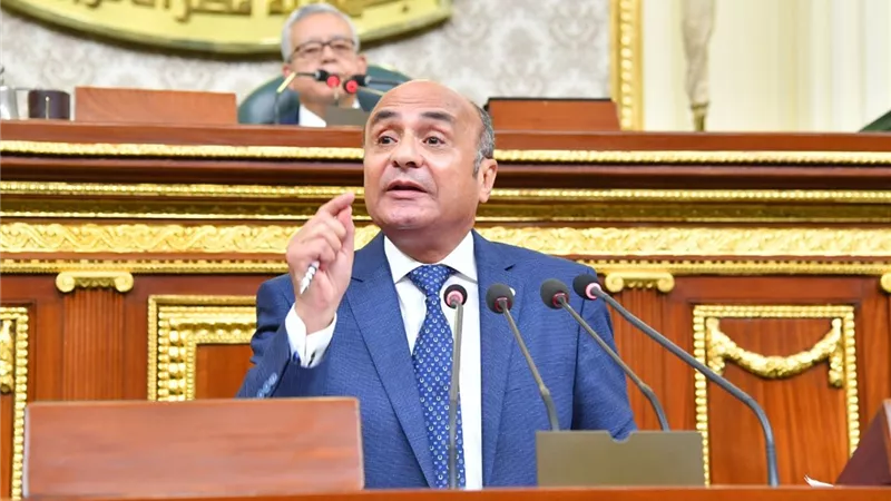 العدل : الانتهاء من رفع كفاءة 30 محكمة نهاية هذا العام