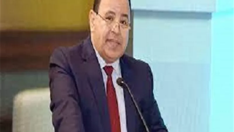 ٢,١ مليار جنيه ضرائب ورسوم بجمارك «الدخيلة» و«دمياط» في مايو الماضى