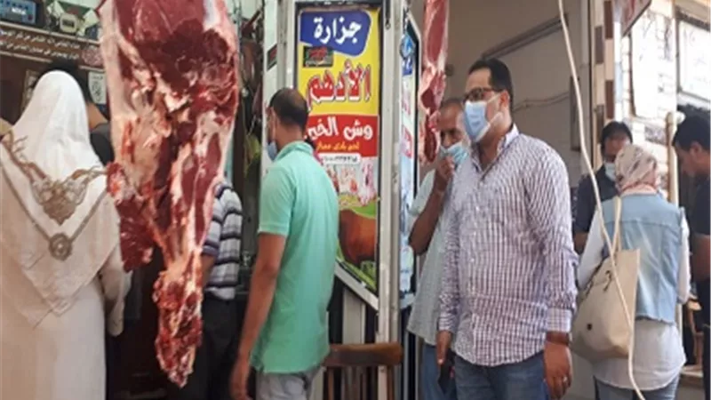 تحرير 169 محضر تمويني خلال يوم واحد..وضبط 3 مصانع تعمل بدون ترخيص بالسادات