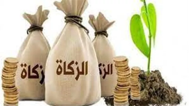 حكم الزكاة فى اسهم الشركات ومن المكلف بأخراجها مالكها ام الشركة ؟...الافتاء تجيب