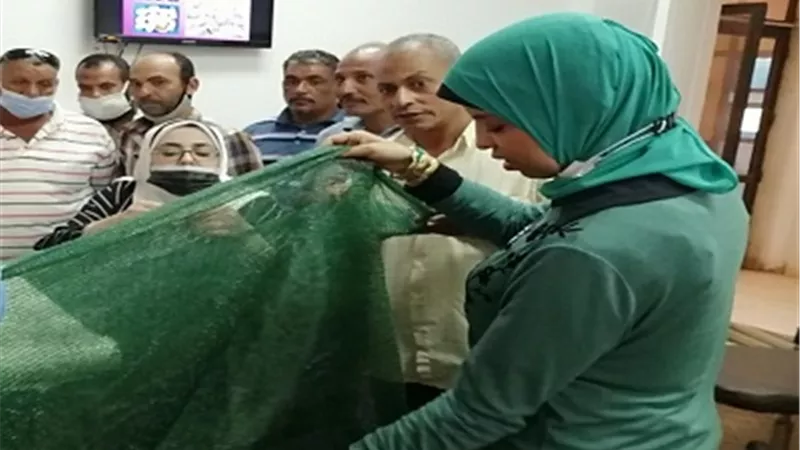 معمل النخيل ينتهي من تنفيذ دورة زراعة أنسجة النخيل