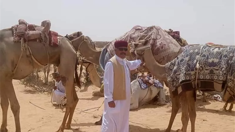 انطلاق اول سباق للهجن بمدينة العلمين بمشاركة 600 هجان