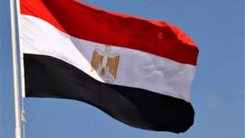 تمهيداً لدخولها الخدمة بالقوات المسلحة .. رفع العلم المصرى على 47 قطعة بحرية