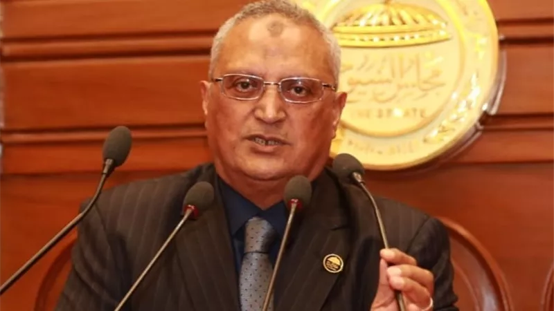 نائب: 3 يوليو تاريخ وضع خارطة الطريق بعد نجاح ثورة 30 يونيو