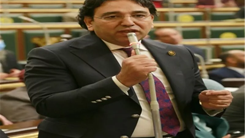 أيمن محسب: قانون المشروعات الصغيرة نقلة كبيرة ويحتاج لخطة ترويجية