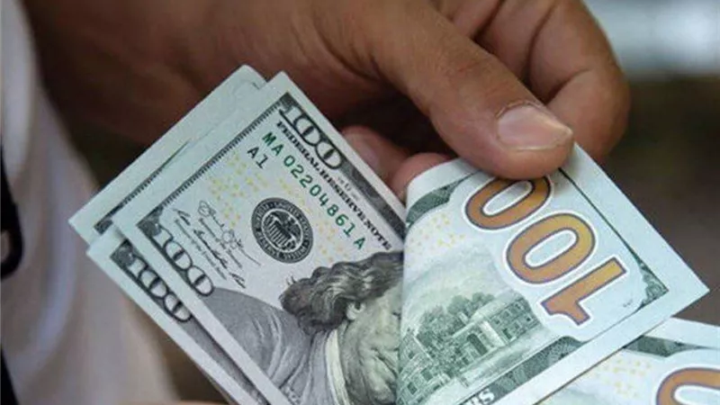 خبير: مصر عانت من مشكلة عنيفة في سعر صرف الدولار قبل الإصلاح