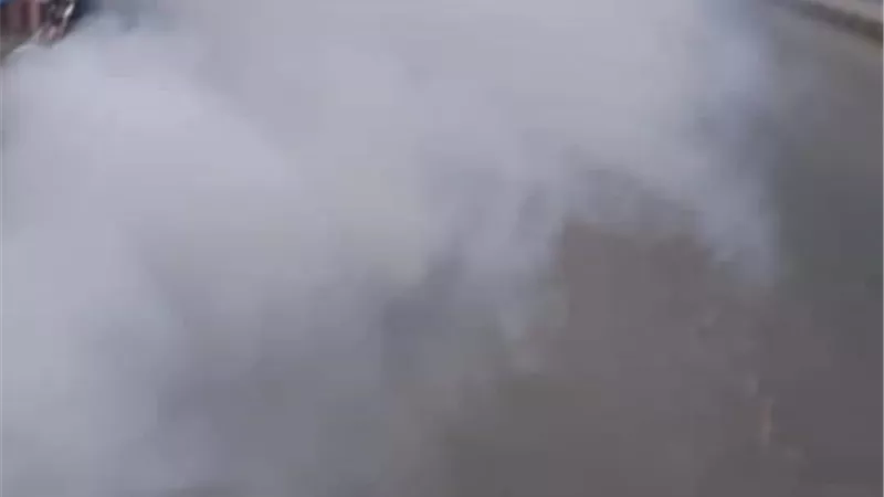 مدينة سيوة تكثف أعمال الرش الضبابي للقضاء على البعوض والحشرات الناقلة للأمراض