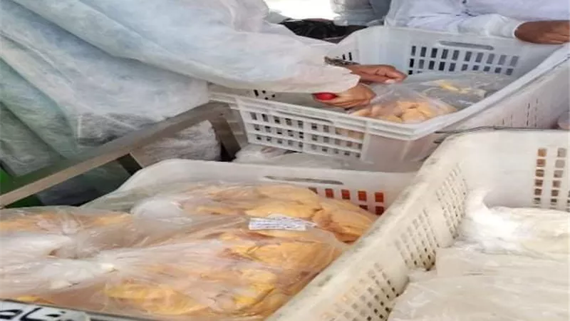 اعدام لحوم فاسدة في حملة بمديرية الصحة بالقليوبية