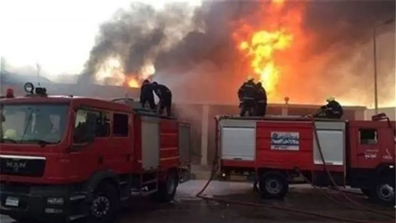نفوق عدد من المواشى والطيور فى حريق داخل حوش بقنا