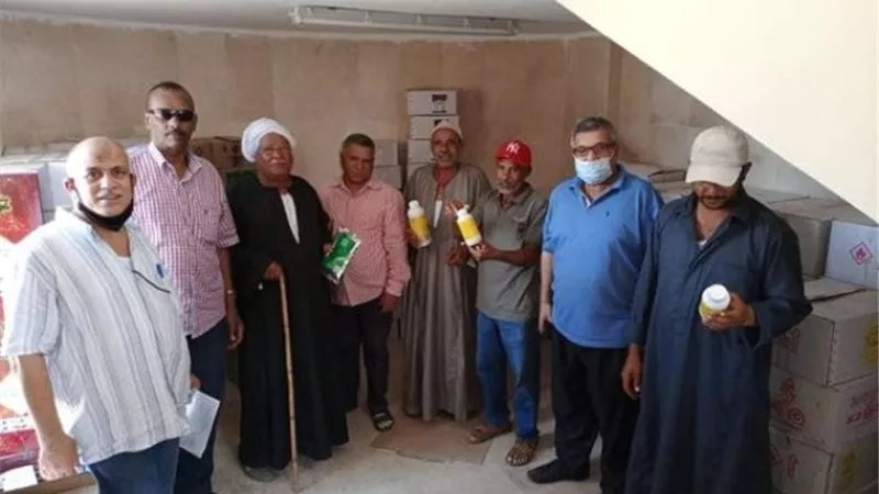 زراعة الإسماعيلية توفر مبيدات لمحصول القطن وتحذر من الإتجار فيها..صور