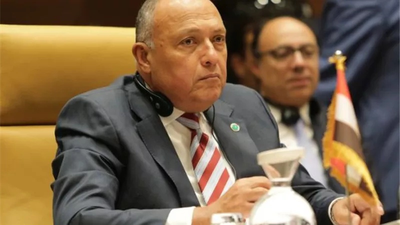 وزير الخارجية يشرح للدول الأفريقية بمجلس الأمن موقف مصر تجاه سد النهضة