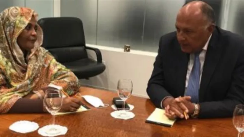 تنسيق مصرى سودانى للإعداد لجلسة مجلس الأمن حول سد النهضة