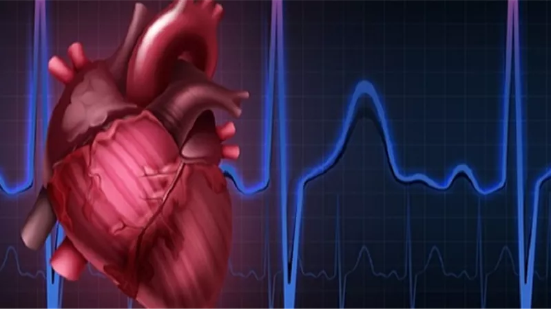 دراسة: مرضى هبوط عضلة القلب نصفهم مصاب بالسكرى