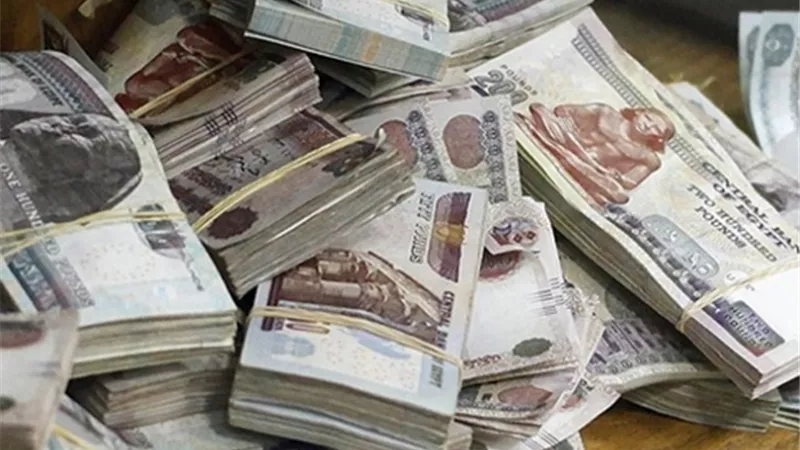ضبط شخصين لقيامهما بترويج عملات نقدية مقلدة بالقاهرة