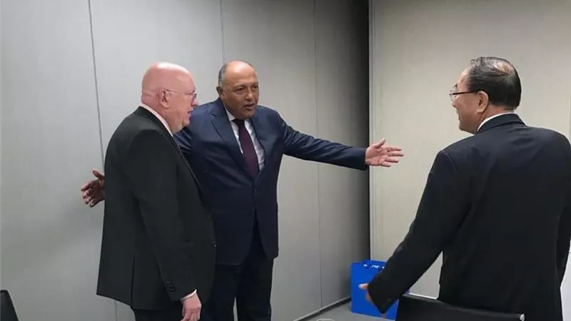 وزير الخارجية يؤكد لمندوبي روسيا والصين على ضرورة اضطلاع مجلس الأمن بمسئولياته تجاه قضية سد النهضة