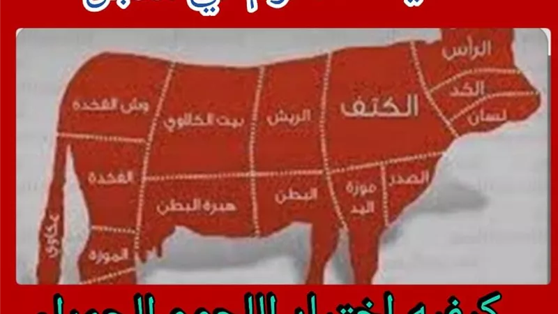 كيفيه اختيار اللحوم المناسبة للاكل من الاضحيه للشيف هبه راشد .. مطبخ صابرين