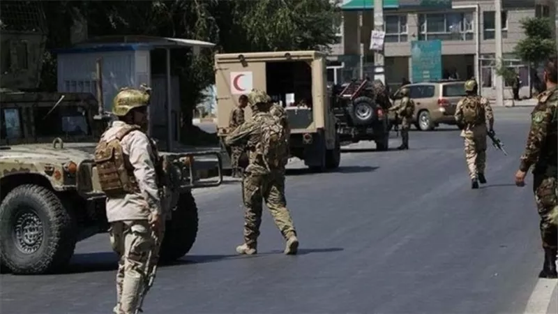 مقتل 261 مسلحا من طالبان خلال عمليات عسكرية في أفغانستان