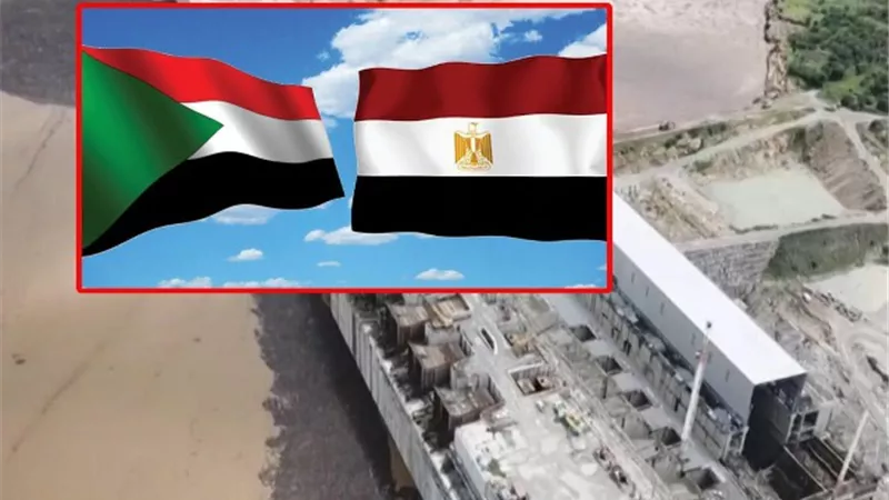 خبراء القانون الدولي: كل الوسائل متاحة في دفاع مصر عن حقوقها ومصالحها المائية