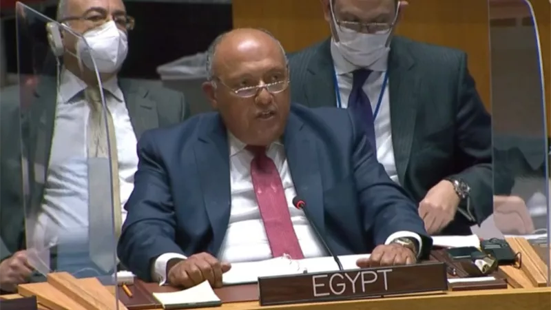 وزير الخارجية: مصر تواجه تهديدا وجوديا بسبب سد النهضة