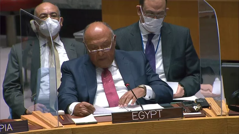 وزير الخارجية يبلغ مجلس الأمن فشل المسار التفاوضي الذى يقوده الاتحاد الإفريقى حول سد النهضة