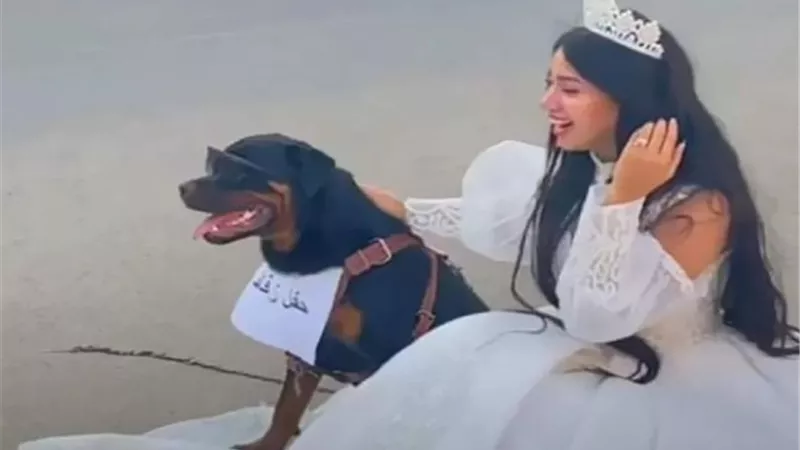 إعلامي يفتح النار ويفحم 
