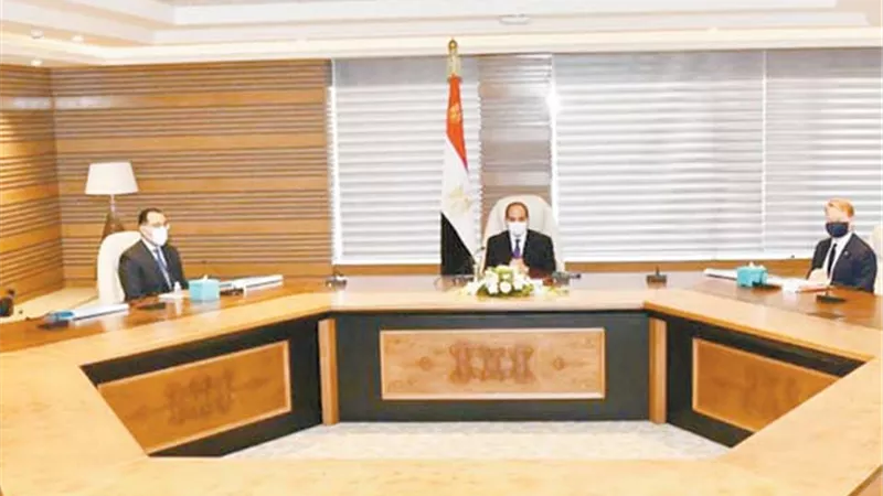 السيسي.. في لقائه بالرئيس التنفيذي لشركة 