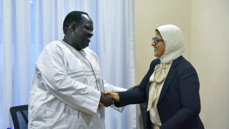 مشروعات صحية سنوية .. إنشاء مستشفى جديد ومعامل للتسلسل الچيني بجنوب السودان