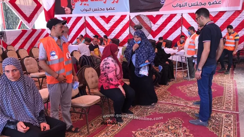 700 مريض بقرية النكارية بالزقازيق استفادوا من قافلة مستقبل وطن