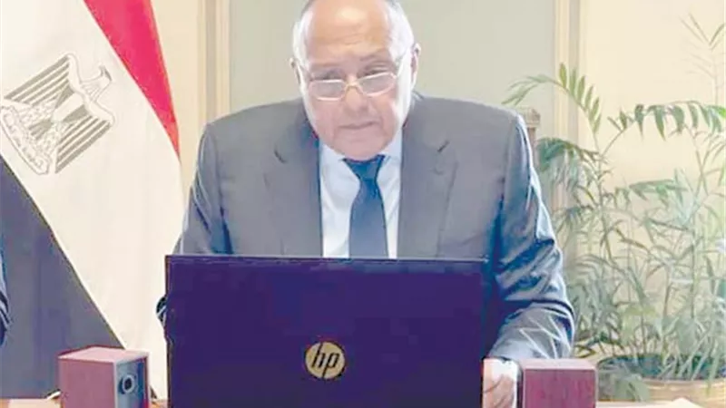 خبراء عسكريون: كلمة مصر أمام مجلس الأمن.. حققت الهدف