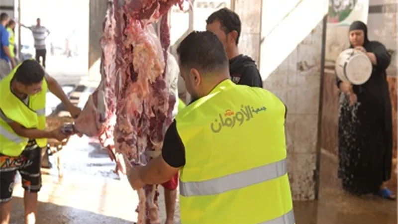 56 ألف كيلو لحوم أضاحى و40 عجل بلدى للأسر الأكثر احتياجًا بقنا من الأورمان