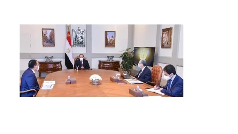 الرئيس يستعرض موقف مشروعات وزارة الكهرباء فى قطاعات الطاقة المتجددة