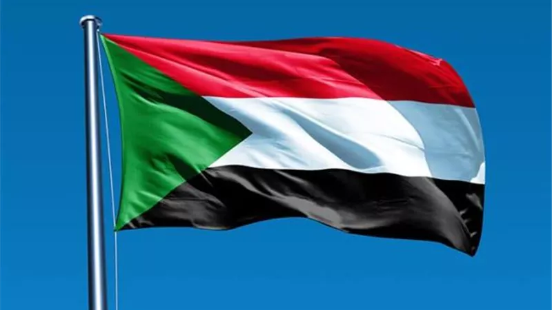 السودان: سنبدأ تنفيذ خياراتنا بشأن سد النهضة بعد نتائج اجتماع مجلس الأمن