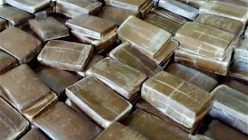 ضبط عنصر إجرامي بحوزته 110 طرب من مخدر الحشيش قبل ترويجها بالإسكندرية