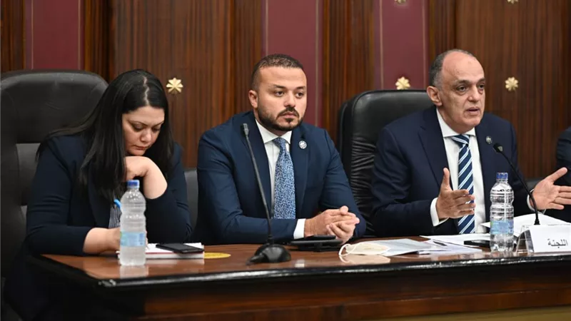 النائب محمد الجارحى يكشف معوقات تنفيذ قانون المشروعات الصغيرة بالمحافظات حتى الآن